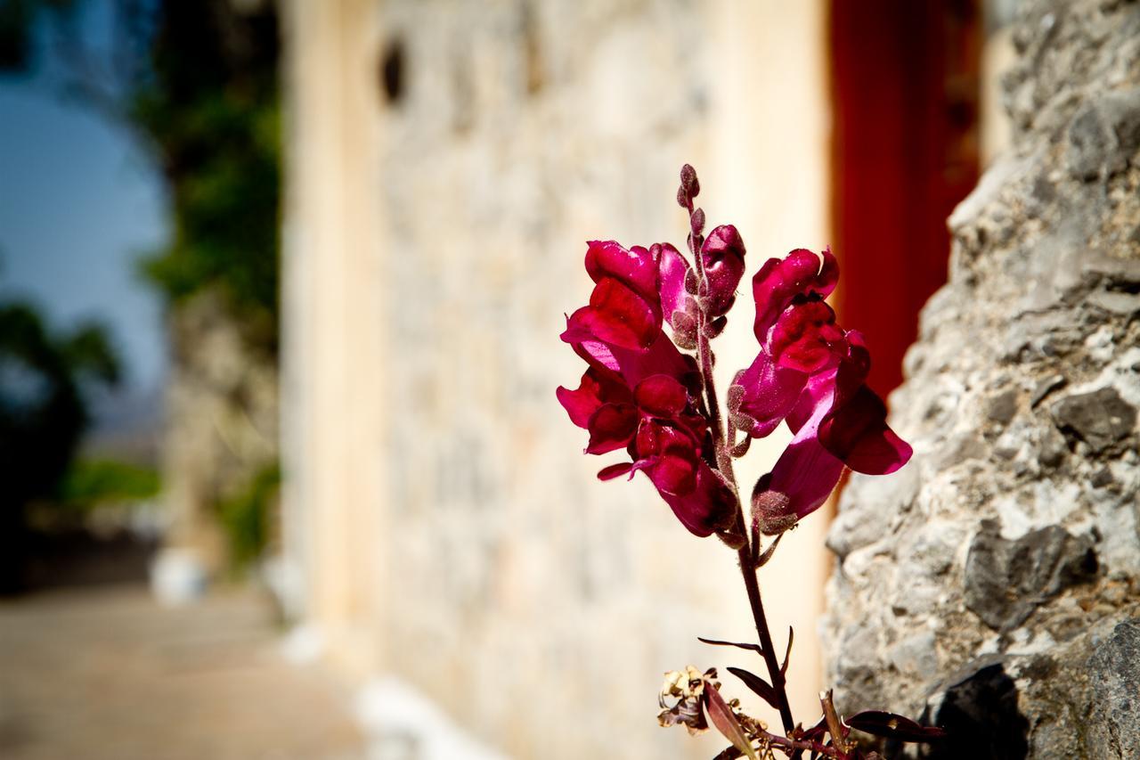 Monastiraki Traditional Guest House Monastirakion  外观 照片